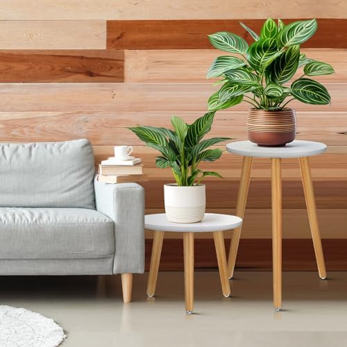 Briwooody 2 Pcs Indoor Plant Stand Mid Century Vintage Wood Modern Flower Pots Holder Round Side Table End Table Plant Stools for Living Room Corner Balcony Decor (White) - Image 6