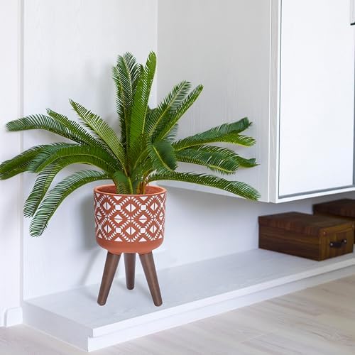 D'vine Dev Planter Pot with Wood Stand, 8 in, Terracotta/White, 88-G-A-5 - Image 7