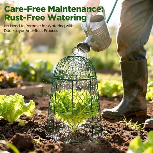 12 Pack XL Metal Garden Cloches for Plants, 17" Tall Chicken Wire Cloches - Image 6