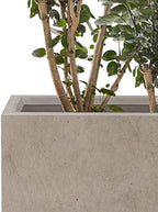 Kante Set of 3 Weathered Concrete Tall Planters 13" 11" 9" Dia - Image 3