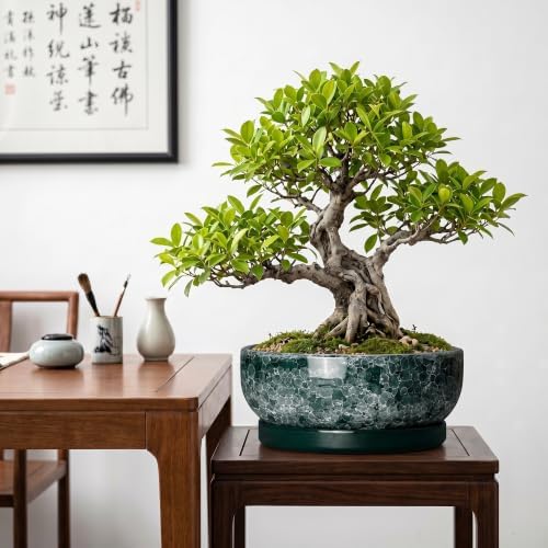 Succulent Pots Ceramic, 10 Inch Bonsai Planter, Droplet Green - Image 4