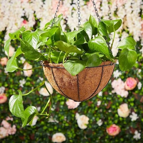 LCHUANG Hanging Baskets Planter for Plants - 4 Pack 12 Inch Metal Baskets with Coco Coir Liner, Hanging Flower Pots for Outside with Chain, Indoor Outdoor Garden Porch Decoration (12'' Pack of 4) - Image 6