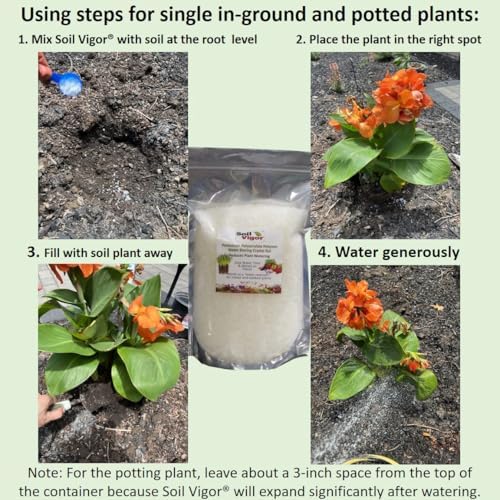 Soil Vigor® Large Granules Potassium Polyacrylate Water Retention Crystals (5–10 Mesh) – Stores Water & Nutrients, Helps Reduce Watering, Indoor & Outdoor Plants, Lawns & Gardens (5 Pounds) - Image 3
