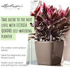 Lechuza Quadro LS 28 Charcoal Metallic, Self-Watering Square Planter, H10.2 L11 W11 in - Image 6