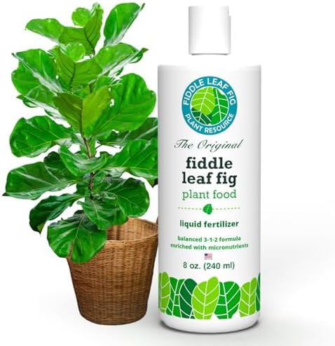 Fiddle Leaf Fig Propagation Bundle - Image 2