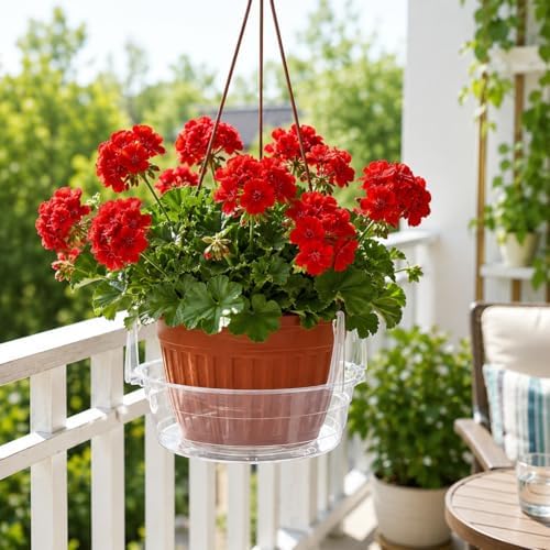 25 PCS Hanging Basket Saucers for Plants – Clear 6-12 Inch Plastic Watering Tray with Hooks, Anti-Leak Drip Pan & Water Catcher for Indoor & Outdoor Hanging Baskets (10 in,25PCS) - Image 5