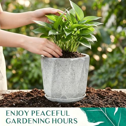 10 Inch Ceramic Plant Pot with Drainage Hole Mesh Net, Large Flower Pots for Indoor Plants with Saucer, Gardening Pots Outdoor (Gray-dot) - Image 5