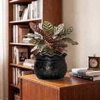 Ceramic Planter Pots, 8 Inch Plant Pot for Indoor Plants, Black - Image 4
