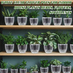 Self Watering Plant Pots, 3.5'', Transparent, 36 Pcs - Image 6