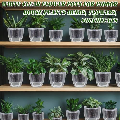 Self Watering Plant Pots, 3.5'', Transparent, 18 Pcs - Image 6