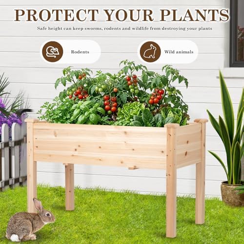 Raised Garden Bed with Legs, 48x24x30 inch Wood Elevated Planter with Protective Liner for Vegetable Flower Herb, Outdoor Planter Box Kit for Balcony Patio Backyard, Natural - Image 6