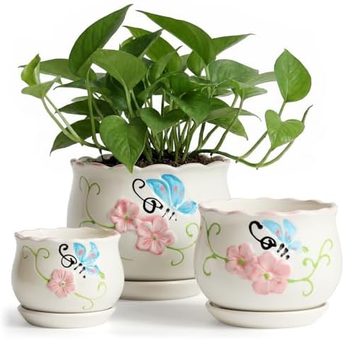 Ceramic Plant Pots with Drainage Holes and Saucers, Small Planters Set of 3 by STHIE