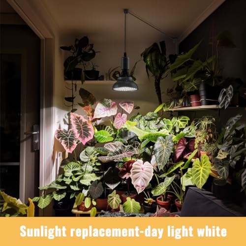 Hanging Grow Lights for Indoor Plants, 25W 5000K, LED Light Bulbs - Image 3