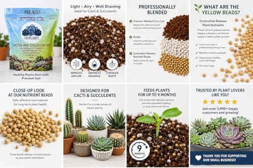 Fat Plants San Diego Premium Cacti and Succulent Potting Mix Soil - for Cactus Palm Tree Citrus Plant Grown in Gardening Containers - Indoors & Outdoors Use - with Natural Food/Fertilizer - Image 4