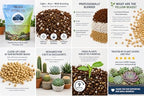 Fat Plants San Diego Premium Cacti and Succulent Potting Mix Soil - for Cactus Palm Tree Citrus Plant Grown in Gardening Containers - Indoors & Outdoors Use - with Natural Food/Fertilizer - Image 4