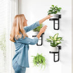 3 Pack Wall Plant Holder for Hanging Planters Indoor Outdoor Black - Image 6