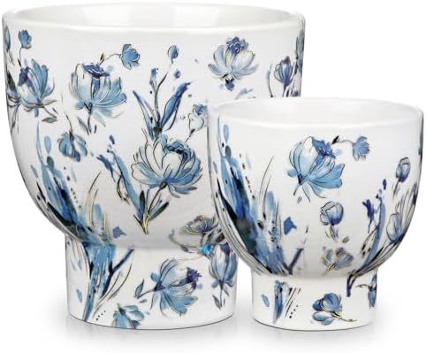2Pcs Blue and White Ceramic Planter Pot for Plants, Flowers Succulents by GnFlus