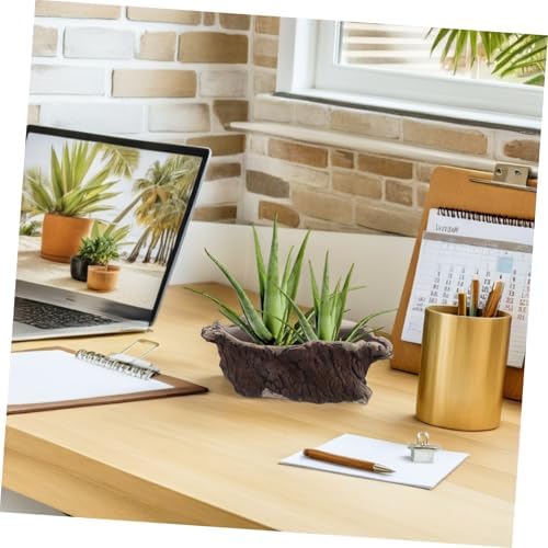 Ciieeo Unique Cement Planter Retro Tree Root Design Flower Pot for Indoor Desk Office Decor Sturdy Succulent Container for Small Plants Bonsai Memorable for Plant Lovers - Image 5