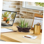 Ciieeo Unique Cement Planter Retro Tree Root Design Flower Pot for Indoor Desk Office Decor Sturdy Succulent Container for Small Plants Bonsai Memorable for Plant Lovers - Image 5