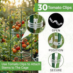 3 Pack 58" Square Tomato Cages for Garden - Large Tomato Trellis Stakes - Image 5