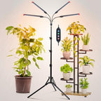 FRGROW 4Head Grow Light with Stand for Tall Indoor Plants, Bonsai Tree by FRGROWLEDGROWLIGHTS