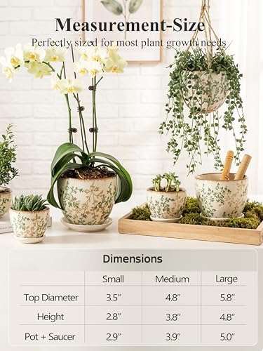 Ceramic Plant Pots, Vintage Succulent Pots, Plant Pots Indoor Set of 4, Planters with Drainage and Attached Saucer, 4.8 Inch Floral Flower Pots for Home Decor, Plant Lover Gifts - Image 5