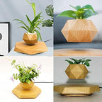 Levitating Plant Pot Hexagon Floating Air Bonsai Pot Suspension Flowerpot Planter for Office Home Decoration - Image 2