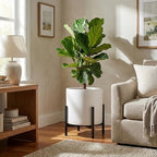 FaithLand 14 Inch Fiberstone Planter - Lightweight Modern Cylinder Plant Pot with Drainage Hole & Plug, Indoor Outdoor Use, Matte White - Image 5