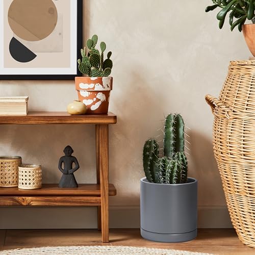 D'vine Dev 3-Pack Ceramic Pots & Saucers, 6/8/10 in, Grey, 94-T-L-3 - Image 6