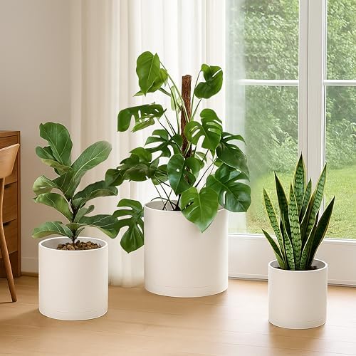 D'vine Dev 3-Pack Plastic Pots & Saucers, 8/10/12 in, Oatmeal, 74-V-H-5 - Image 2