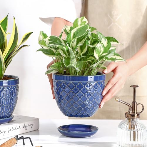 Sureasy Ceramic Indoor Plant Pots - 5.6 Inch Flower Pots for Plants with Drainage Hole and Saucer, Embossed Planter for Succulents, Orchid, Cactus, Indoor Home Decor, Set of 4, Blue - Image 2