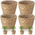 4 Pcs Straw Plant Baskets Indoor Rattan Woven Flower Baskets with Plastic Liner, Cattail Plant Planter for Indoor Outdoor Rustic Boho Home Farmhouse Floor Potted Pots Decor by Unknown