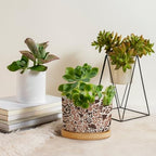 Red Brown Light Gray Leopard Planter Ceramic African Tribal Animal Print Round Plant Pot with Drainage Holes and Bamboo Tray Pot for Home Office Desk Garden - Image 4