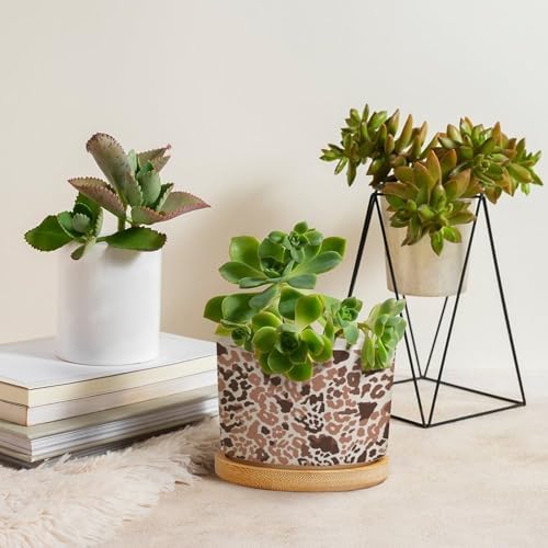 Red Brown Light Gray Leopard Planter Ceramic African Tribal Animal Print Round Plant Pot with Drainage Holes and Bamboo Tray Pot for Home Office Desk Garden - Image 4