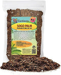 Gardenera Premium SOGO Palm Plant Potting Mix - Elevate Your Space with Exquisite Beauty and Distinctive Form - 4 Quart by Gardenera