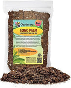 Gardenera Premium SOGO Palm Plant Potting Mix - Elevate Your Space with Exquisite Beauty and Distinctive Form - 4 Quart by Gardenera