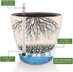 Dexceder 9x8 Self Watering Planter (Red High Gloss) - Image 2