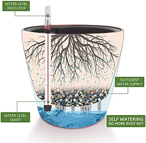 Dexceder 9x8 Self Watering Planter (Red High Gloss) - Image 2