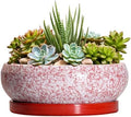 Succulent Pots - 8 Inch Bonsai Pots for Indoor Outdoor, Shallow Ceramic Planter with Drainage Hole and Saucer, Round Flower Succulent Planters, Room Decor, Gifts for Plant Lovers, Red by EPFamily