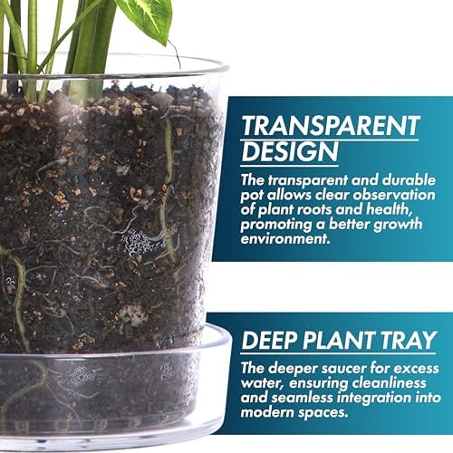 Phoenix Vine 8 Inch Clear Acrylic Planter Pot with Tray, Orchid Pot with Drainage Holes, Deep Saucer for Bottom Watering, Transparent Containers for Indoor Plants, Herbs, Set of 1, 91-A-G-1 - Image 4