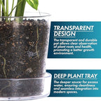 Phoenix Vine 8 Inch Clear Acrylic Planter Pot with Tray, Orchid Pot with Drainage Holes, Deep Saucer for Bottom Watering, Transparent Containers for Indoor Plants, Herbs, Set of 1, 91-A-G-1 - Image 4