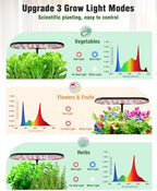 Growell Hydroponics Growing System Kit, 16 Pods Indoor Garden with 28W Full Spectrum LED Grow Light, Auto Timer, 3 Smart Light Modes, 8L Large Herb Garden, Ideal Gardening Gift for Women, Men (Black) - Image 3