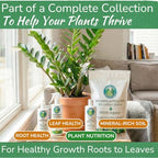 Indoor Plant Food by Houseplant Resource Center - Organic Liquid Fertilizer for Pothos, Peace Lily, Monstera, Cactus and More - 8 oz - Image 6