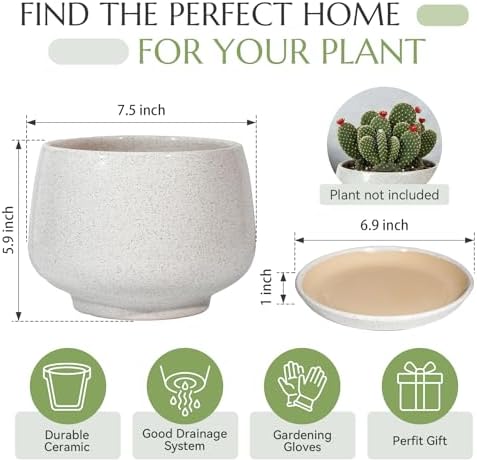 7.5 Inch Flower pots for Indoor Outdoor Plants with Saucer Drainage Leak-Proof Mesh, Ceramic Planter with Gardening Gloves for Succulent and Flower(Matte White) - Image 6