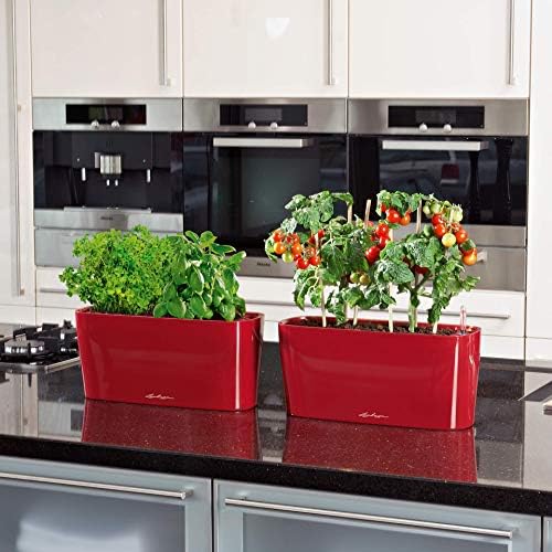 Lechuza Delta 20 Shiny Taupe, Self-Watering Planter Indoor, H7.1 L15.7 W5.9 in - Image 5