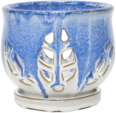 W&W Orchid Pot with Holes and Saucer for Repotting and Better Grow, Blue and White, 6.5 Inches - Image 2