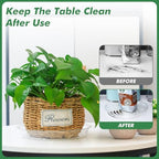 80 Pack 12 Inch Plant Saucer Clear Plant Saucers for Outdoors Plants Drip Trays Extra Large Pot Saucer No Holes Pot Saucers Planter Trays for Outdoor Plants Bulk Plastic Tray for Flower, Potted Tree - Image 3