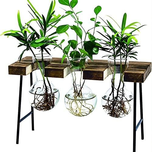 Plant Terrarium with Wooden Stand, Air Planter Bulb Glass Vase Metal Swivel Holder Retro Tabletop for Hydroponics Home Garden Office Decoration - 3 Bulb Vase by Unknown