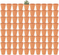 Yishang 2 inch Small Terracotta Pots with Drainage Holes,Mini Clay Ceramic Pottery Planter,Cactus Flower Nursery Terra Cotta Pots, for Indoor/Outdoor Succulent Plants, Crafts, Wedding Favor(80 Pack) by Yishang