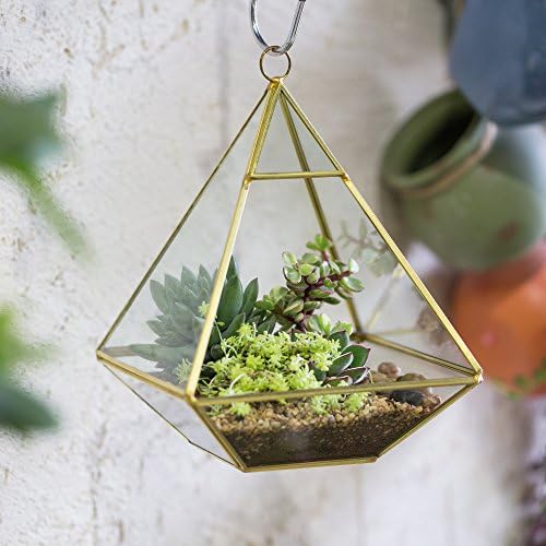 NCYP Geometric Glass Terrarium for Succulent, Air Plants - 5.9x5.9x7.87 Inches - Wall Hanging Glass Planter Pot, Home Garden Tabletop Decoration, Gold (Terrarium Only) - Image 3